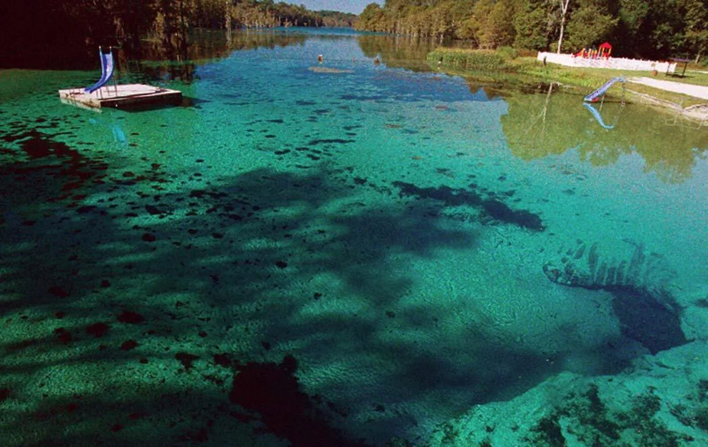 Clear blue water and green trees at Jackson Blue Spring near Marianna, Florida